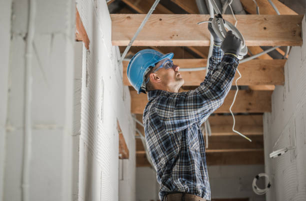 Best Electric Panel Repair  in Fairview, CA